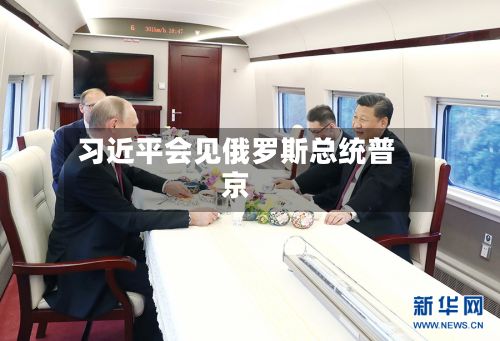习近平会见俄罗斯总统普京-第2张图片