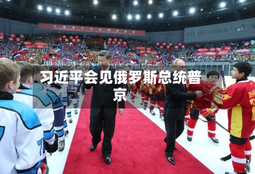 习近平会见俄罗斯总统普京