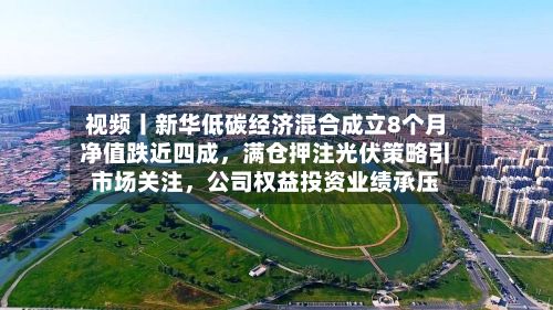 视频丨新华低碳经济混合成立8个月净值跌近四成，满仓押注光伏策略引市场关注，公司权益投资业绩承压