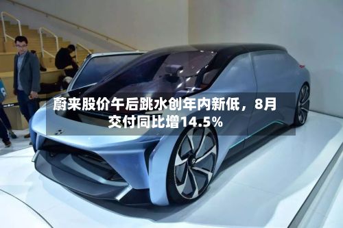 蔚来股价午后跳水创年内新低	，8月交付同比增14.5%-第1张图片