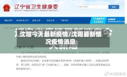 沈阳今天最新疫情/沈阳最新情况疫情消息