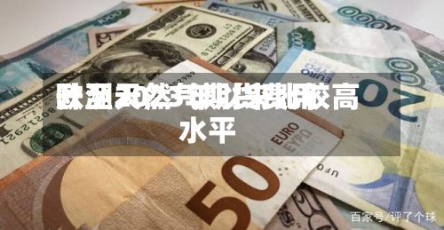 欧洲天然气期货费用
升至2023年以来比较高
水平-第2张图片