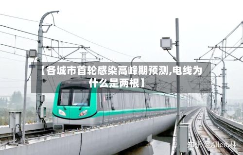 【各城市首轮感染高峰期预测,电线为什么是两根】-第2张图片