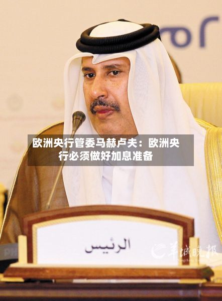欧洲央行管委马赫卢夫:欧洲央行必须做好加息准备