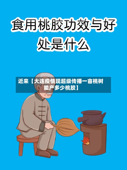 近来【大连疫情现超级传播一亩桃树能产多少桃胶】-第2张图片