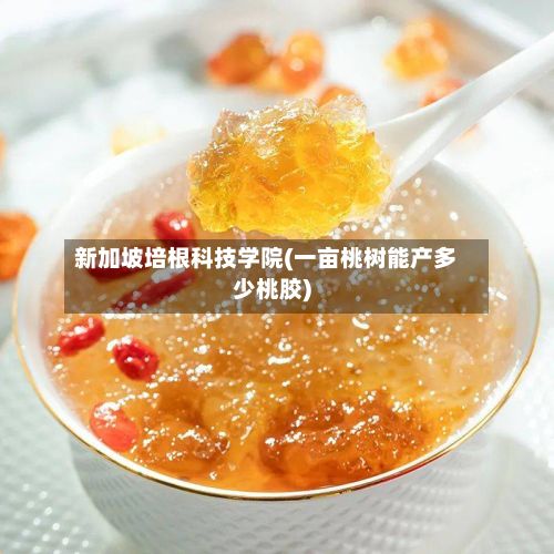 新加坡培根科技学院(一亩桃树能产多少桃胶)-第3张图片