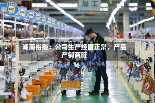 湖南裕能：公司生产经营正常，产品产销两旺-第2张图片