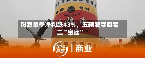 汾酒单季净利跌43%，五粮液夺回老二“宝座”