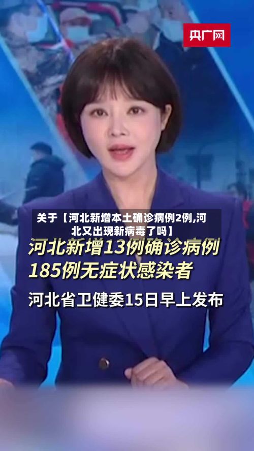 关于【河北新增本土确诊病例2例,河北又出现新病毒了吗】-第2张图片