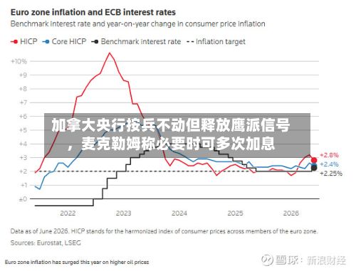 加拿大央行按兵不动但释放鹰派信号,麦克勒姆称必要时可多次加息