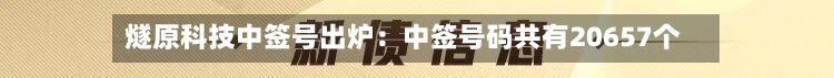 燧原科技中签号出炉：中签号码共有20657个-第2张图片