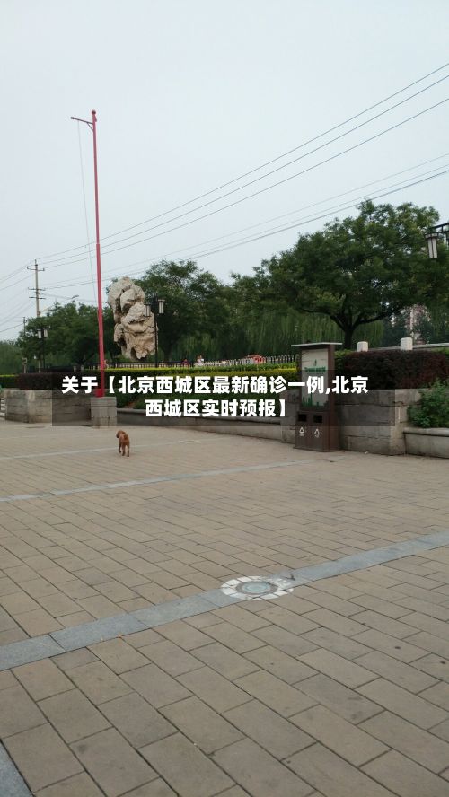 关于【北京西城区最新确诊一例,北京西城区实时预报】