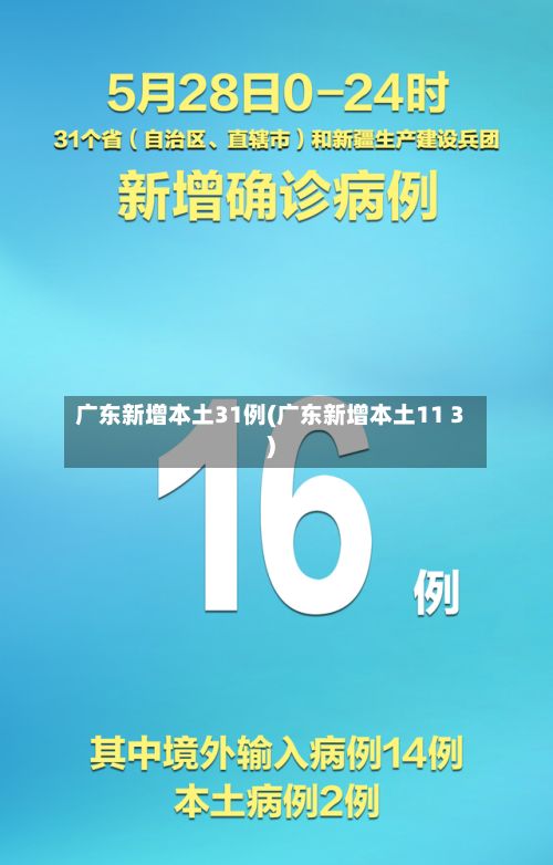 广东新增本土31例(广东新增本土11 3)