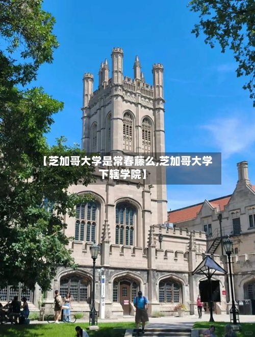 【芝加哥大学是常春藤么,芝加哥大学下辖学院】-第3张图片