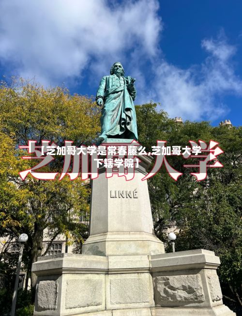 【芝加哥大学是常春藤么,芝加哥大学下辖学院】