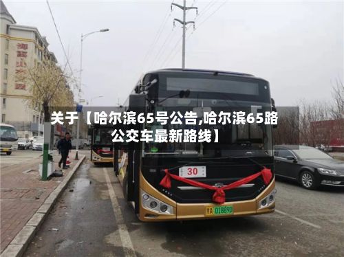 关于【哈尔滨65号公告,哈尔滨65路公交车最新路线】-第3张图片