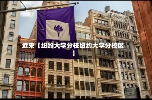 近来【纽约大学分校纽约大学分校区】