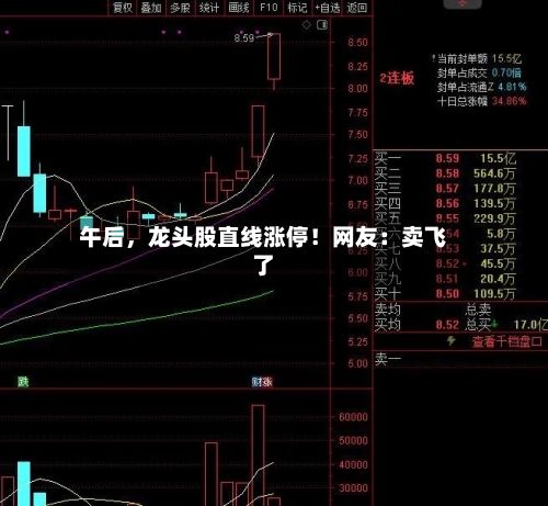午后,龙头股直线涨停!网友:卖飞了