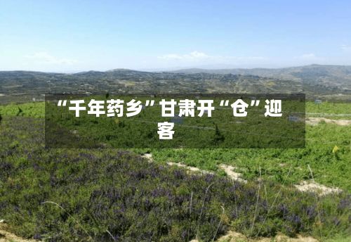 “千年药乡”甘肃开“仓”迎客