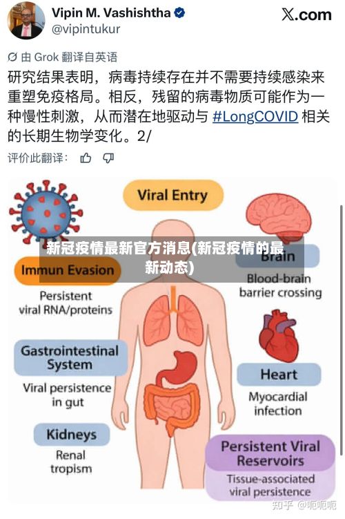 新冠疫情最新官方消息(新冠疫情的最新动态)-第2张图片