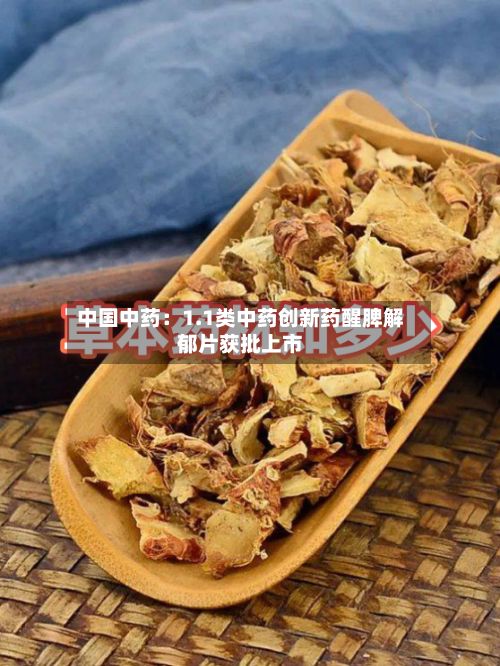 中国中药：1.1类中药创新药醒脾解郁片获批上市