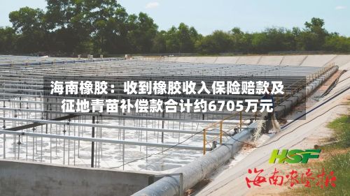 海南橡胶：收到橡胶收入保险赔款及征地青苗补偿款合计约6705万元