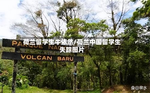 荷兰留学生牛依然/荷兰中国留学生失踪图片