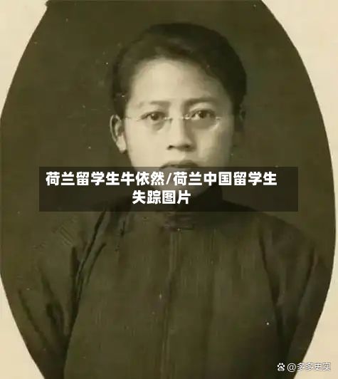 荷兰留学生牛依然/荷兰中国留学生失踪图片-第3张图片