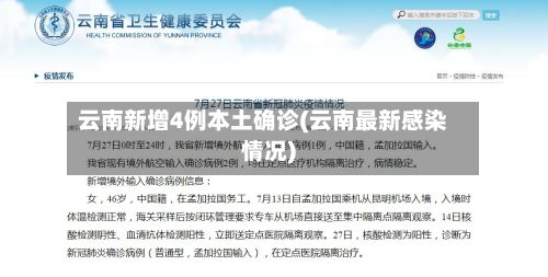 云南新增4例本土确诊(云南最新感染情况)-第3张图片