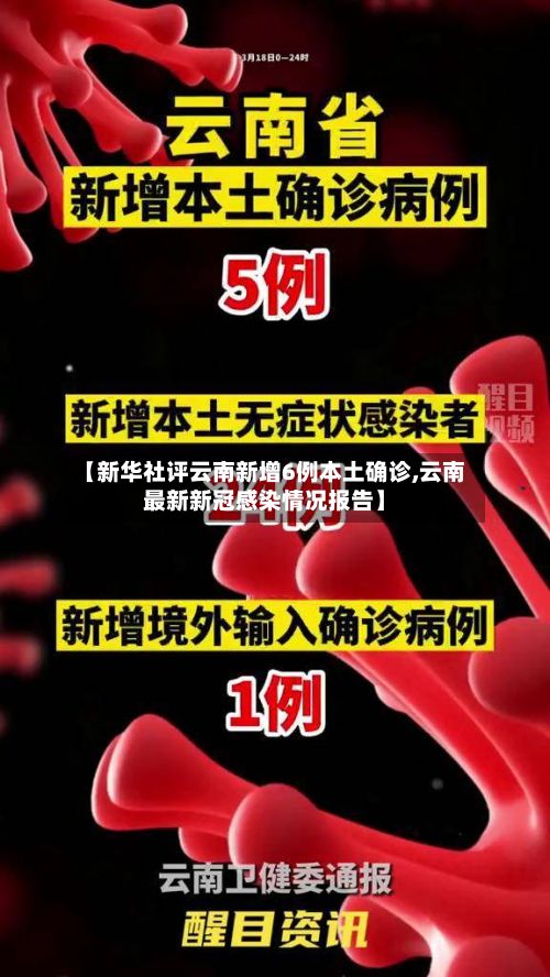【新华社评云南新增6例本土确诊,云南最新新冠感染情况报告】-第2张图片