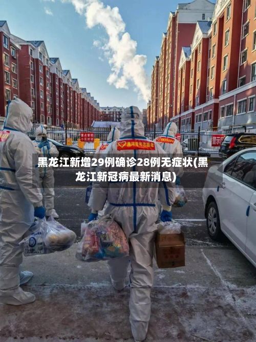 黑龙江新增29例确诊28例无症状(黑龙江新冠病最新消息)