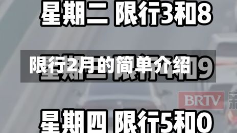限行2月的简单介绍