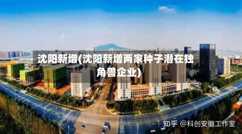 沈阳新增(沈阳新增两家种子潜在独角兽企业)-第3张图片