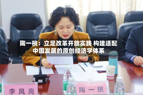 陶一桃:立足改革开放实践 构建适配中国发展的原创经济学体系