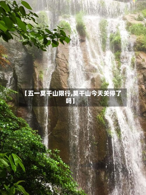 【五一莫干山限行,莫干山今天关停了吗】