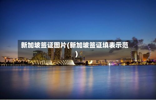 新加坡签证图片(新加坡签证填表示范)