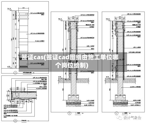 签证cas(签证cad图纸由施工单位哪个岗位绘制)