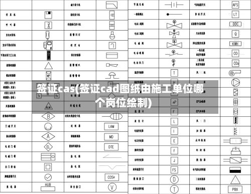 签证cas(签证cad图纸由施工单位哪个岗位绘制)-第2张图片
