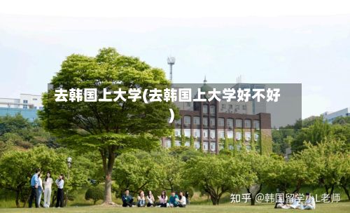 去韩国上大学(去韩国上大学好不好)-第2张图片