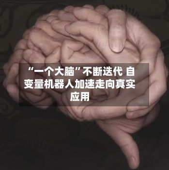 “一个大脑”不断迭代 自变量机器人加速走向真实应用-第3张图片