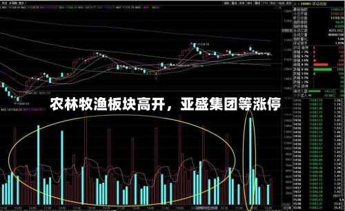 农林牧渔板块高开，亚盛集团等涨停