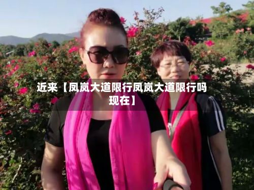 近来【凤岚大道限行凤岚大道限行吗现在】-第2张图片