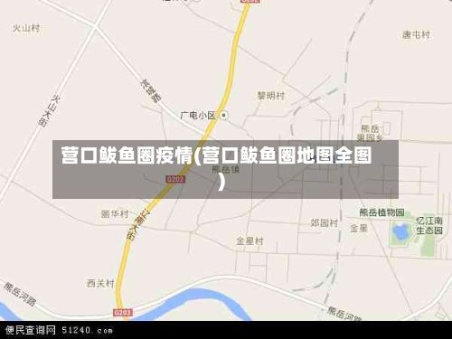 营口鲅鱼圈疫情(营口鲅鱼圈地图全图)