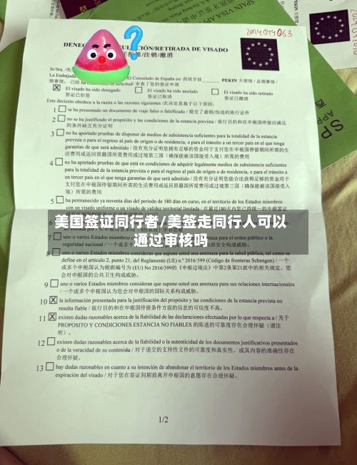 美国签证同行者/美签走同行人可以通过审核吗