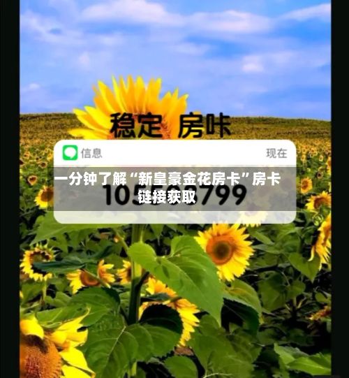 一分钟了解“新皇豪金花房卡”房卡链接获取-第2张图片