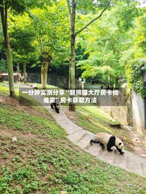 一分钟实测分享“新熊猫大厅房卡找谁买”房卡获取方法-第3张图片