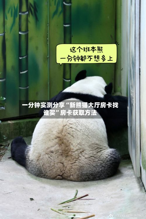 一分钟实测分享“新熊猫大厅房卡找谁买”房卡获取方法-第2张图片
