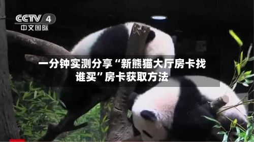 一分钟实测分享“新熊猫大厅房卡找谁买”房卡获取方法