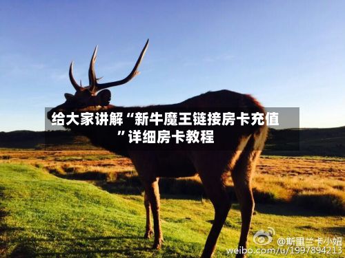 给大家讲解“新牛魔王链接房卡充值	”详细房卡教程-第2张图片