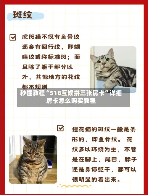 秒懂教程“518互娱拼三张房卡”详细房卡怎么购买教程-第2张图片